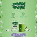 Green tea with jasmine 20 bags - Dogadan