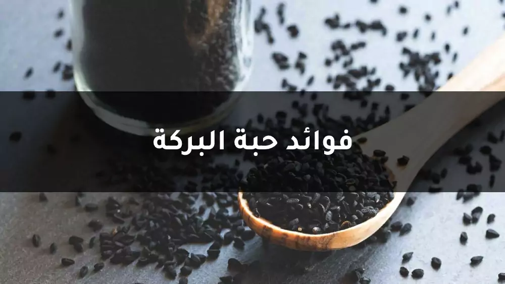 فوائد حبة البركة